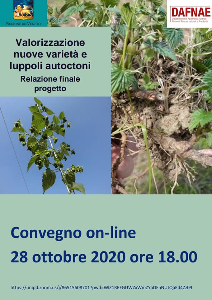 Convegno luppolo